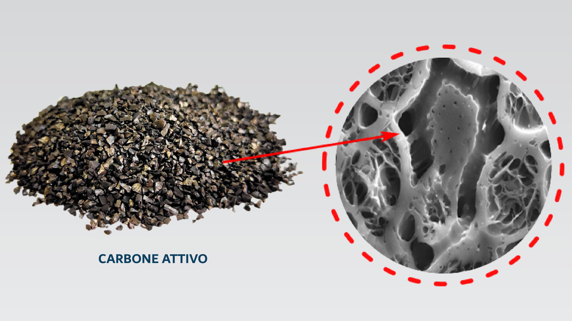 Carbone attivo: cosa rimuove e cosa non elimina